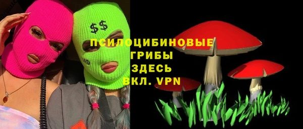 крисы Семёнов